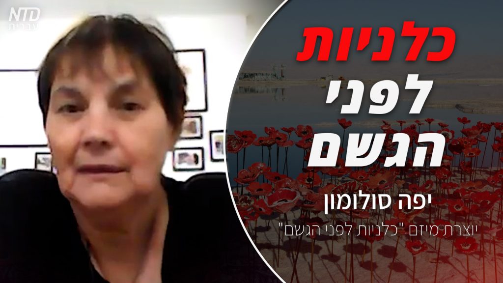 כלניות לפני הגשם | יפה סולומון