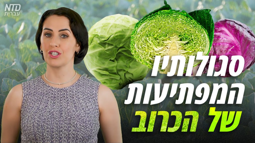 סגולותיו המפתיעות של הכרוב